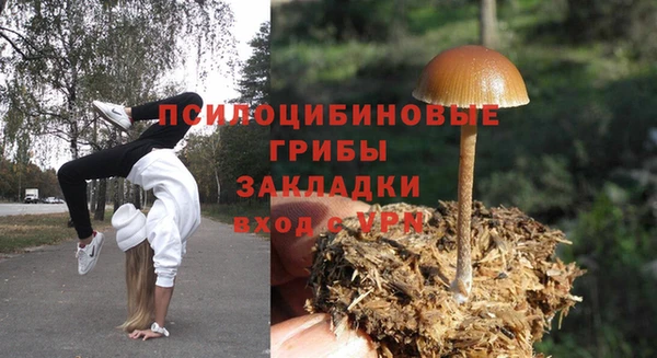 прущая мука Медногорск