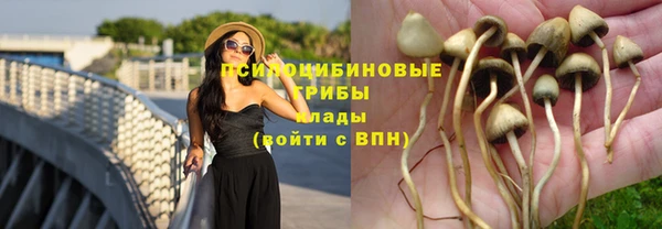 ECSTASY Мегион