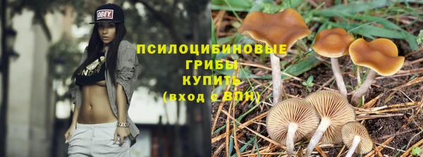 прущая мука Медногорск