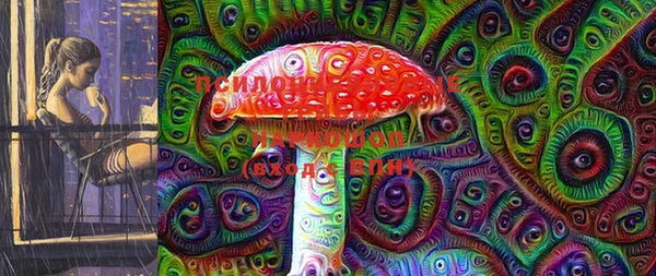 apvp Медвежьегорск