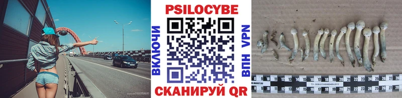 Галлюциногенные грибы Magic Shrooms  Козьмодемьянск 