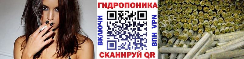 Каннабис ГИДРОПОН  Козьмодемьянск 